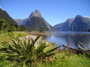 Beeindruckende Natur im Fjordland Nationalpark.