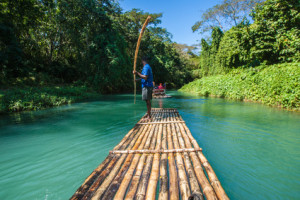 Den Regenwald bei eindrucksvollen Flussfahrten bewundern © Scott Griessel - Fotolia.com