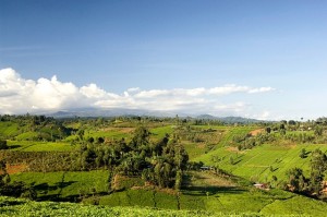 Kenias faszinierende Landschaft.