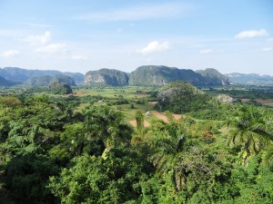 Die beeindruckende Landschaft auf Kuba.