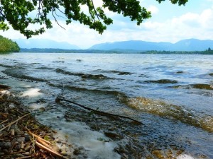 Ufer-des-Staffelsees
