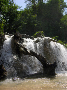 Die beeindruckenden Dunn River Falls auf Jamaika © covado - Fotolia.com