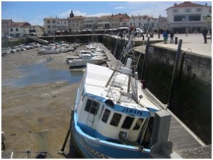 Ebbe in Saint Martin