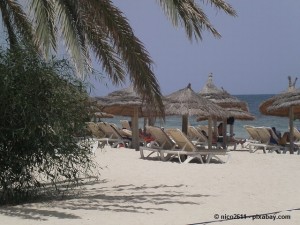 Urlaub auf Djerba - Günstig Ferien machen in Tunesien.