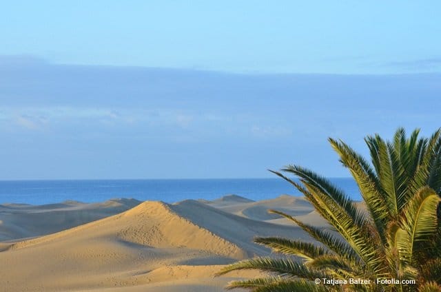 Gran fkk canaria urlaub Faro Lopesan