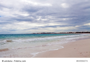 Wedge Island - Australien