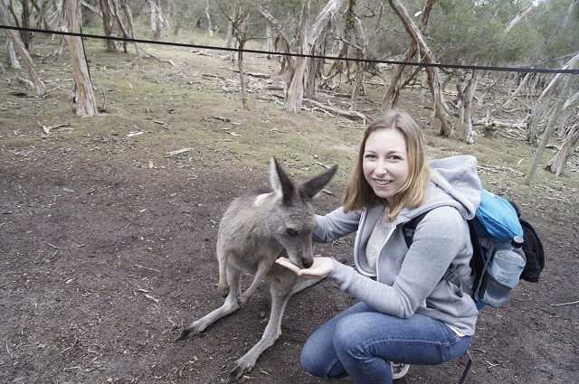 Wildlife Park