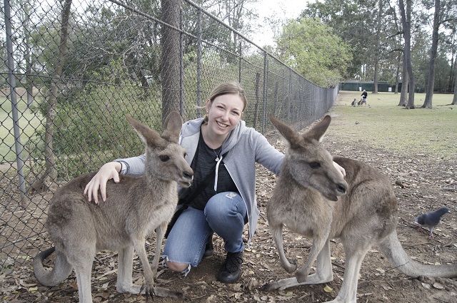 Koala Sanctuary
