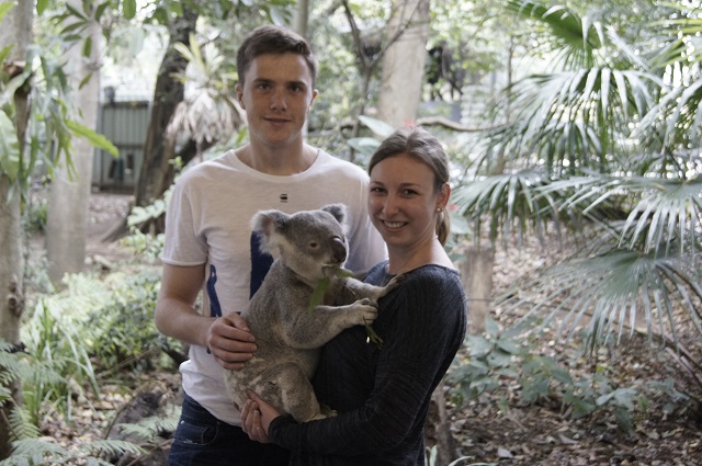 Lone Pine Koala Sanctuary Brisbane