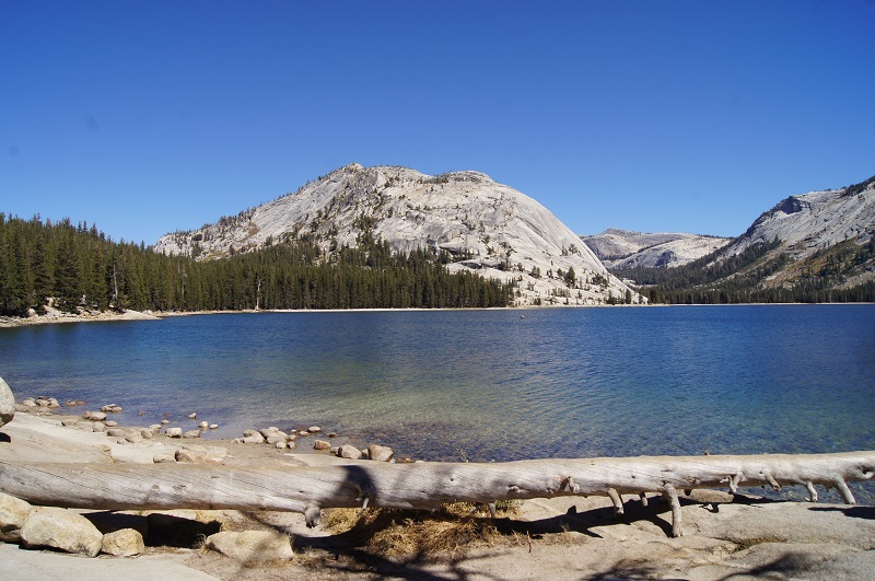 Tenaya Lake